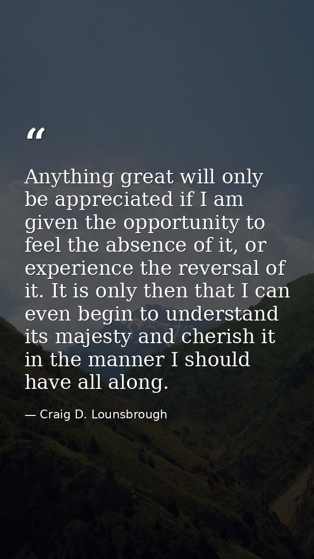 Anything great will only be appreciated if I am given the opportunity to feel the absence of it, or experience the rever — Craig D. Lounsbrough
