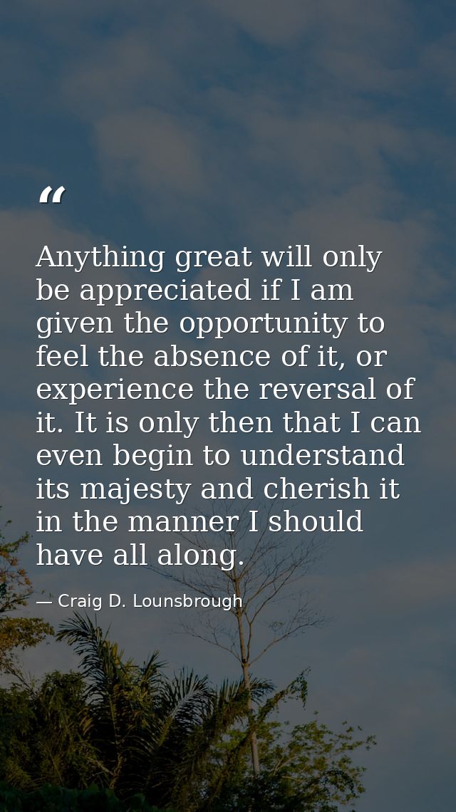 Anything great will only be appreciated if I am given the opportunity to feel the absence of it, or experience the rever — Craig D. Lounsbrough