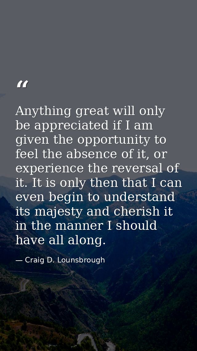 Anything great will only be appreciated if I am given the opportunity to feel the absence of it, or experience the rever — Craig D. Lounsbrough