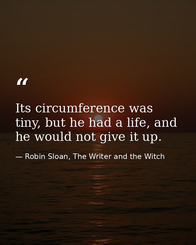 Its circumference was tiny, but he had a life, and he would not give it up. — Robin Sloan, The Writer and the Witch