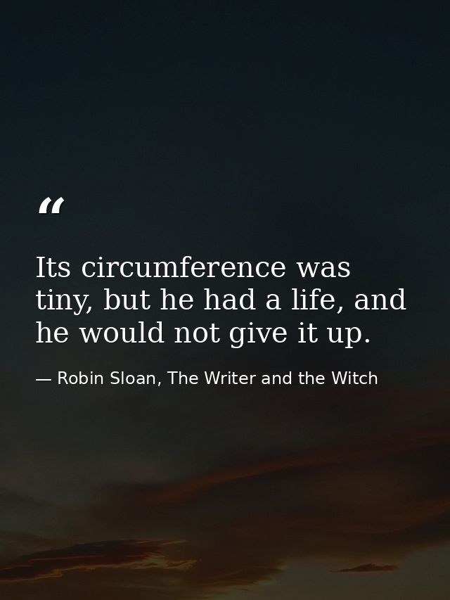 Its circumference was tiny, but he had a life, and he would not give it up. — Robin Sloan, The Writer and the Witch
