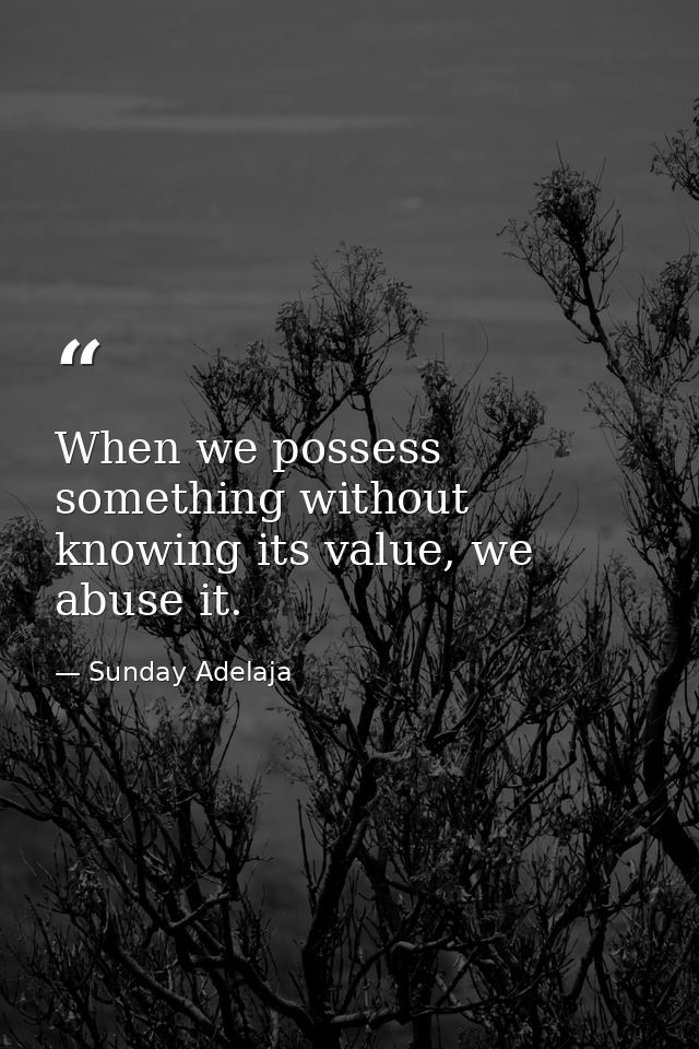 When we possess something without knowing its value, we abuse it. — Sunday Adelaja