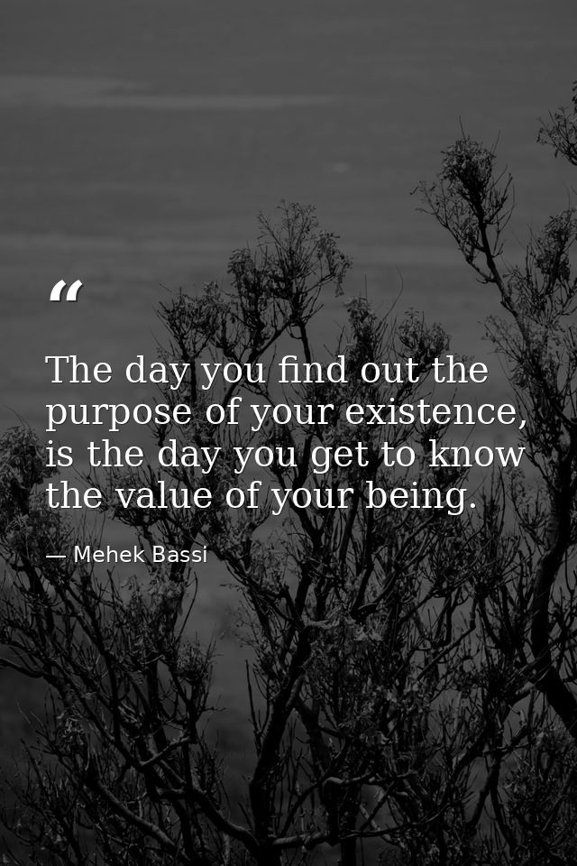 The day you find out the purpose of your existence, is the day you get to know the value of your being. — Mehek Bassi