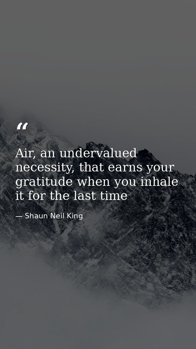 Air, an undervalued necessity, that earns your gratitude when you inhale it for the last time — Shaun Neil King