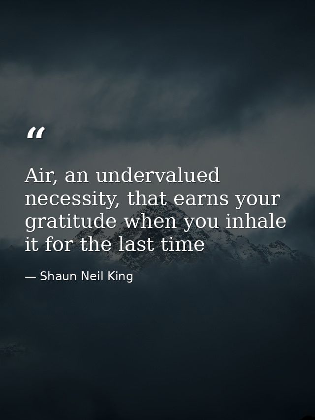 Air, an undervalued necessity, that earns your gratitude when you inhale it for the last time — Shaun Neil King