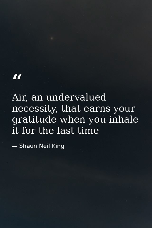 Air, an undervalued necessity, that earns your gratitude when you inhale it for the last time — Shaun Neil King