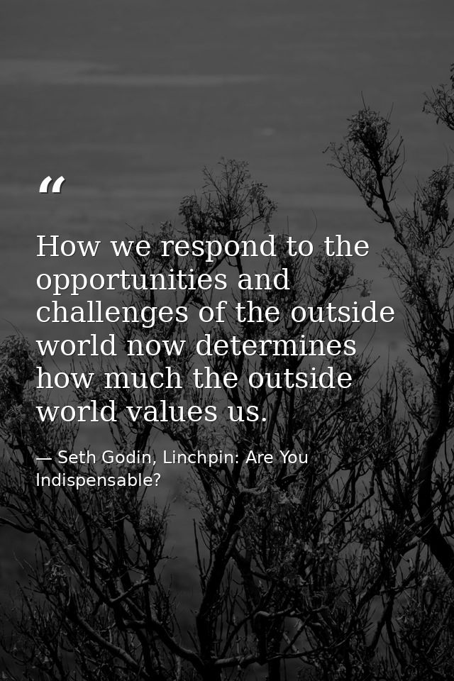 How we respond to the opportunities and challenges of the outside world now determines how much the outside world values — Seth Godin, Linchpin: Are You Indispensable?