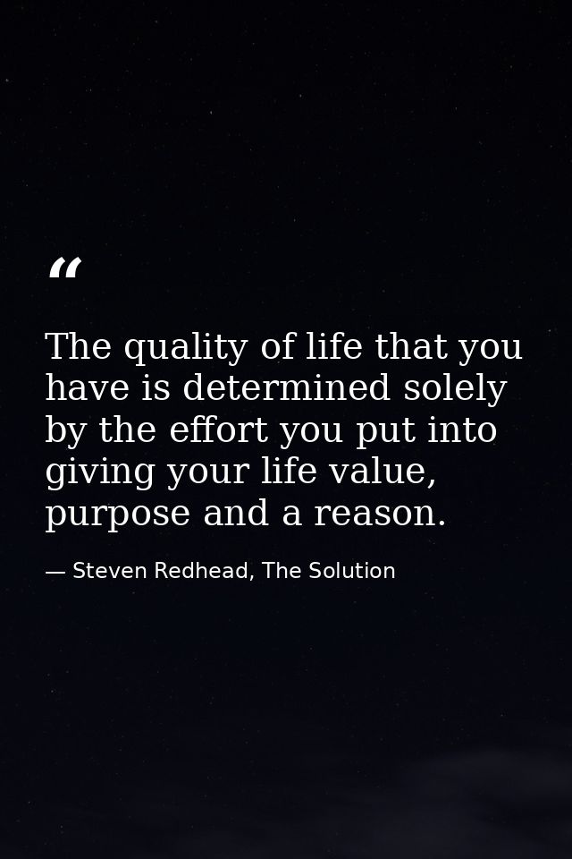 The quality of life that you have is determined solely by the effort you put into giving your life value, purpose and a  — Steven Redhead, The Solution