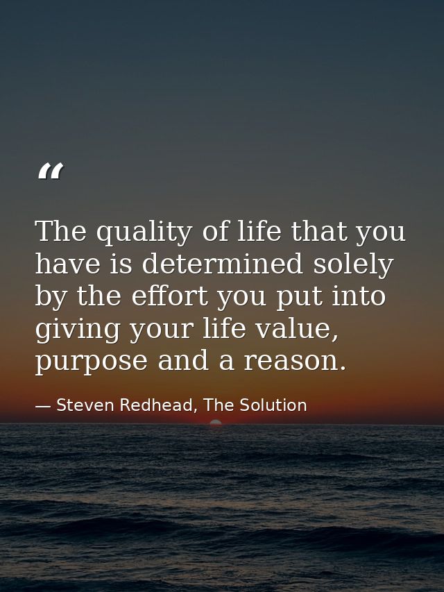 The quality of life that you have is determined solely by the effort you put into giving your life value, purpose and a  — Steven Redhead, The Solution