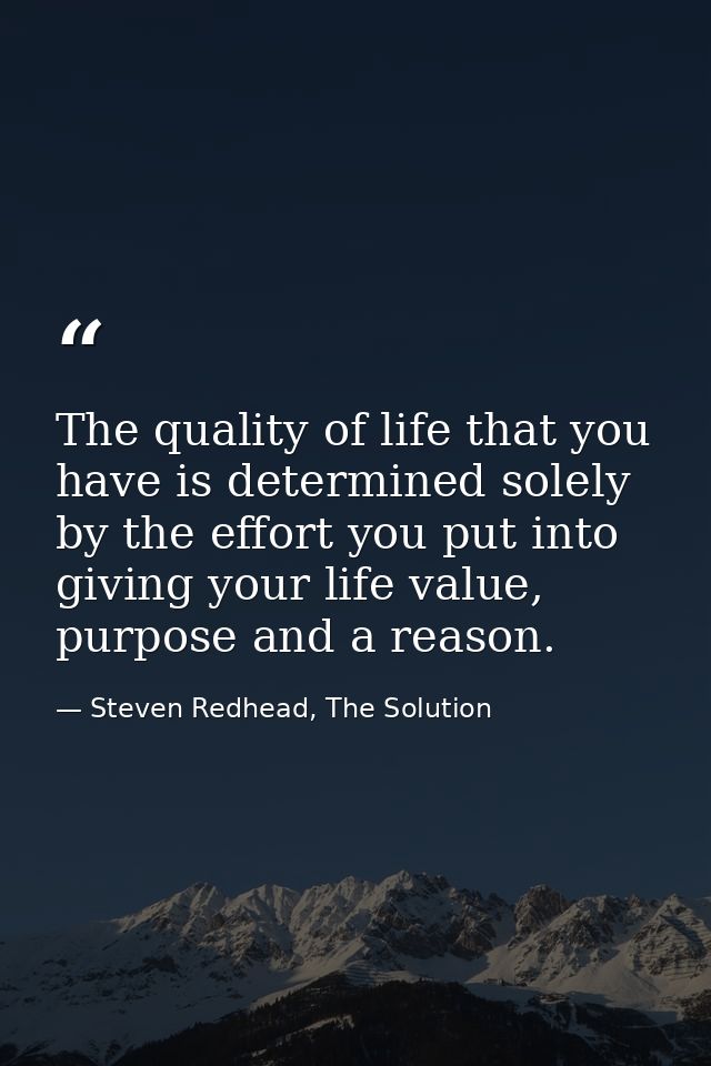The quality of life that you have is determined solely by the effort you put into giving your life value, purpose and a  — Steven Redhead, The Solution