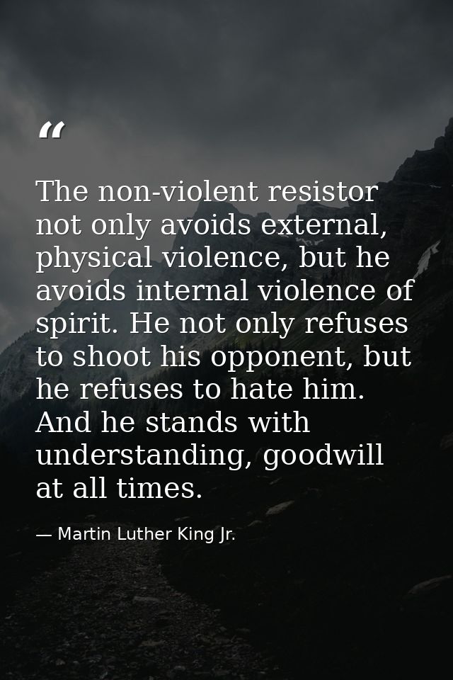 The non-violent resistor not only avoids external, physical violence, but he avoids internal violence of spirit. He not  — Martin Luther King Jr.