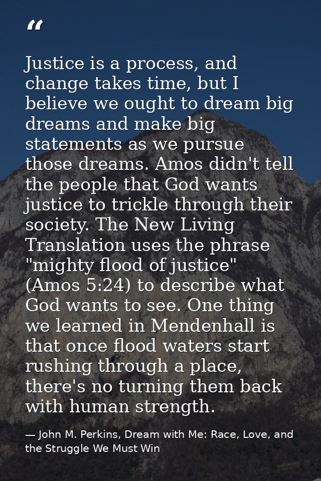 Justice is a process, and change takes time, but I believe we ought to dream big dreams and make big statements as we pu — John M. Perkins, Dream with Me: Race, Love, and the Struggle We Must Win