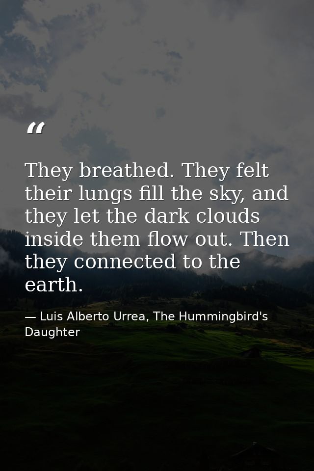 They breathed. They felt their lungs fill the sky, and they let the dark clouds inside them flow out. Then they connecte — Luis Alberto Urrea, The Hummingbird's Daughter