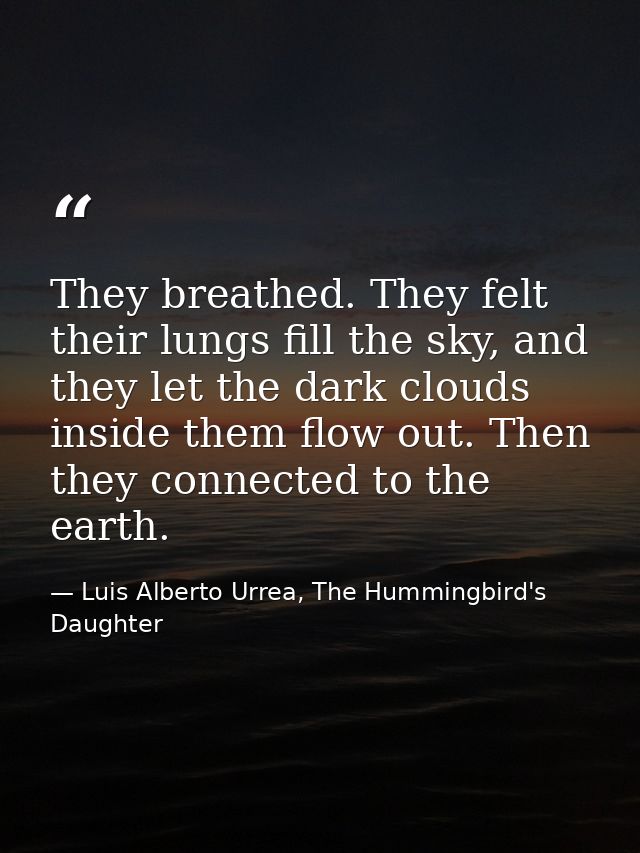 They breathed. They felt their lungs fill the sky, and they let the dark clouds inside them flow out. Then they connecte — Luis Alberto Urrea, The Hummingbird's Daughter