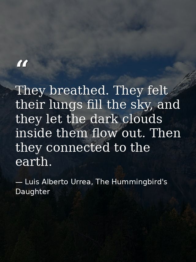 They breathed. They felt their lungs fill the sky, and they let the dark clouds inside them flow out. Then they connecte — Luis Alberto Urrea, The Hummingbird's Daughter