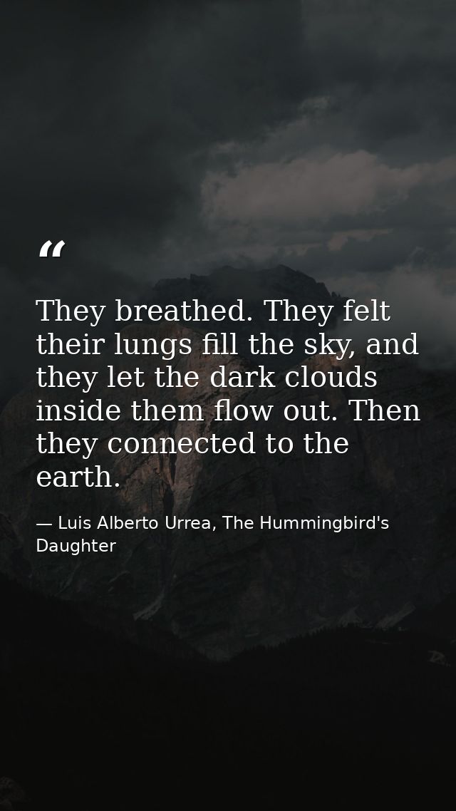 They breathed. They felt their lungs fill the sky, and they let the dark clouds inside them flow out. Then they connecte — Luis Alberto Urrea, The Hummingbird's Daughter