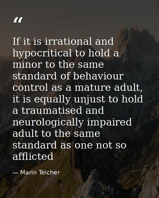If it is irrational and hypocritical to hold a minor to the same standard of behaviour control as a mature adult, it is  — Marin Teicher