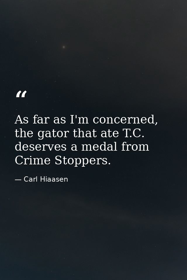As far as I'm concerned, the gator that ate T.C. deserves a medal from Crime Stoppers. — Carl Hiaasen
