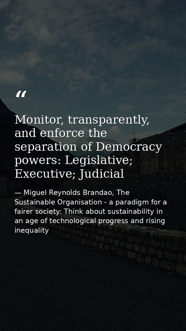 Monitor, transparently, and enforce the separation of Democracy powers: Legislative; Executive; Judicial — Miguel Reynolds Brandao, The Sustainable Organisation - a paradigm for a fairer society: Think about sustainability in an age of technological progress and rising inequality