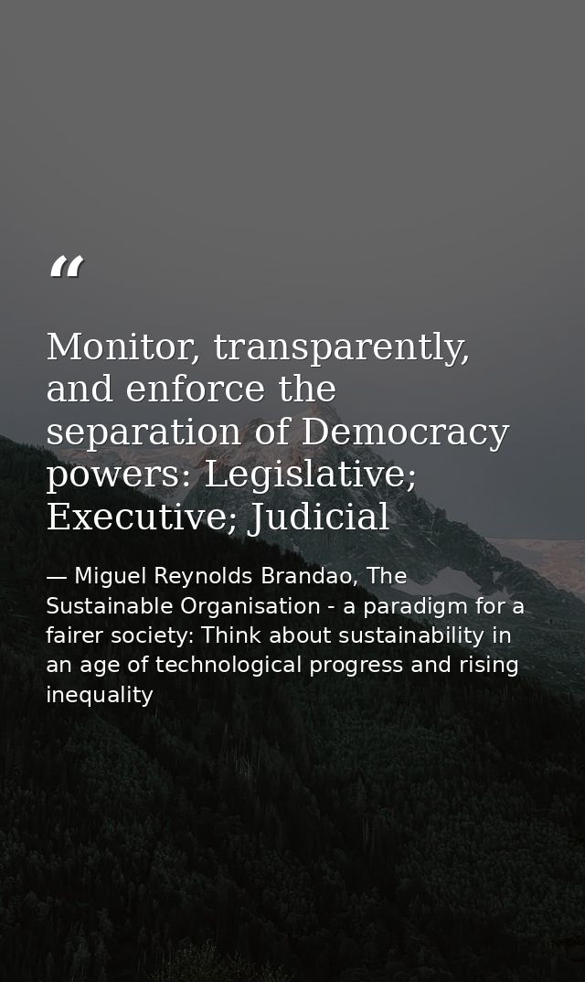 Monitor, transparently, and enforce the separation of Democracy powers: Legislative; Executive; Judicial — Miguel Reynolds Brandao, The Sustainable Organisation - a paradigm for a fairer society: Think about sustainability in an age of technological progress and rising inequality