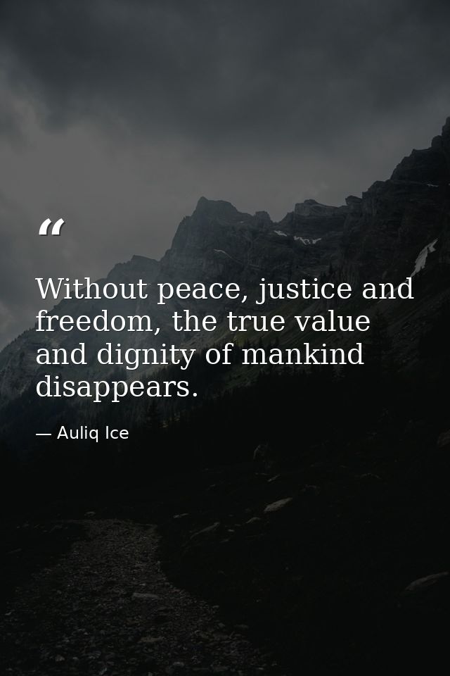 Without peace, justice and freedom, the true value and dignity of mankind disappears. — Auliq Ice
