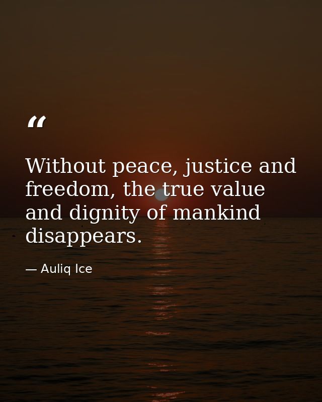Without peace, justice and freedom, the true value and dignity of mankind disappears. — Auliq Ice