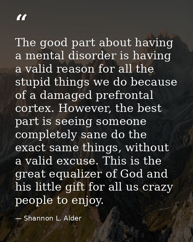 The good part about having a mental disorder is having a valid reason for all the stupid things we do because of a damag — Shannon L. Alder