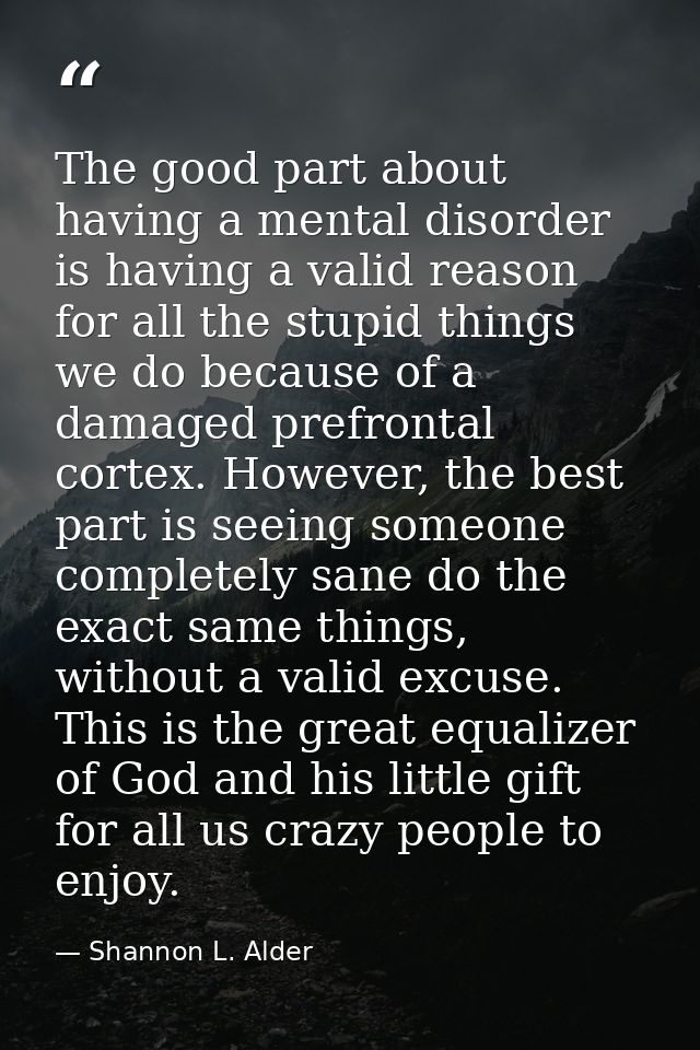 The good part about having a mental disorder is having a valid reason for all the stupid things we do because of a damag — Shannon L. Alder
