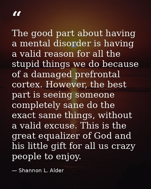 The good part about having a mental disorder is having a valid reason for all the stupid things we do because of a damag — Shannon L. Alder