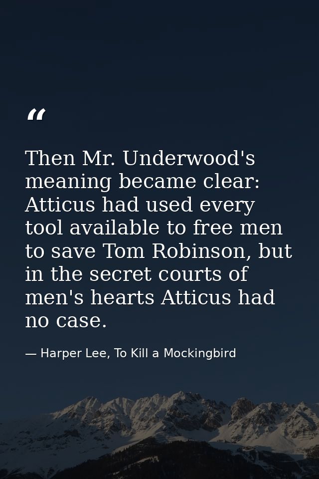 Then Mr. Underwood's meaning became clear: Atticus had used every tool available to free men to save Tom Robinson, but i — Harper Lee, To Kill a Mockingbird