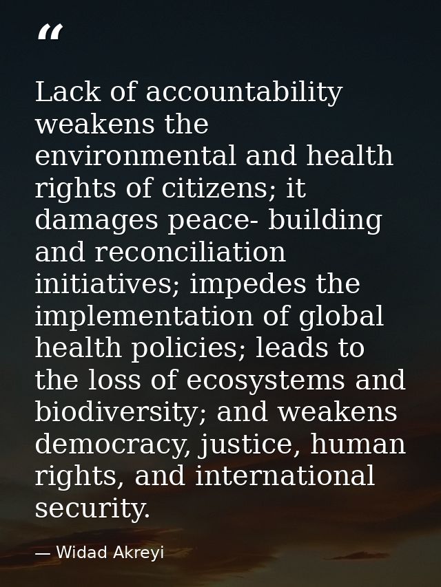 Lack of accountability weakens the environmental and health rights of citizens; it damages peace- building and reconcili — Widad Akreyi