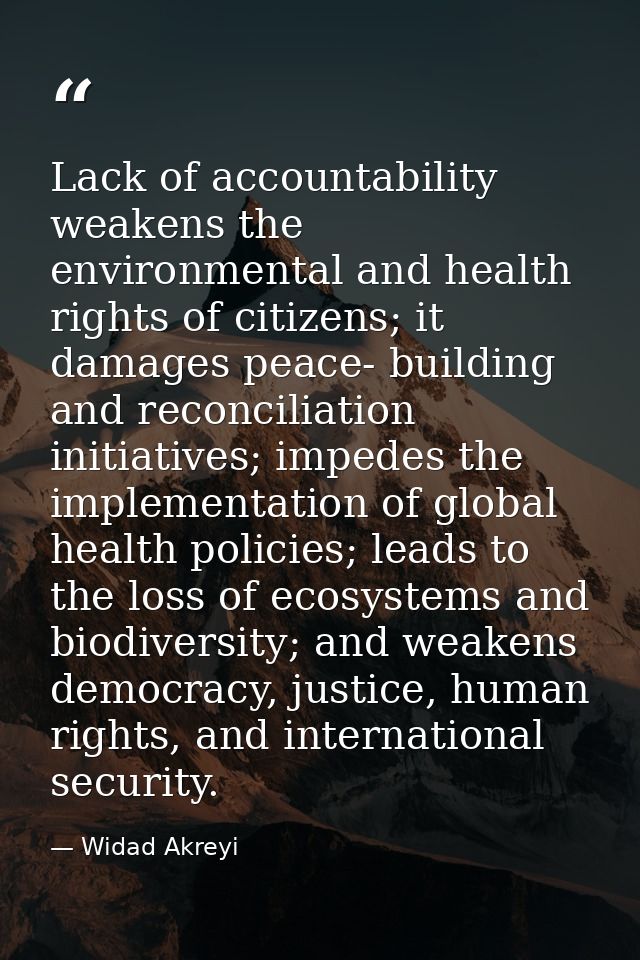 Lack of accountability weakens the environmental and health rights of citizens; it damages peace- building and reconcili — Widad Akreyi