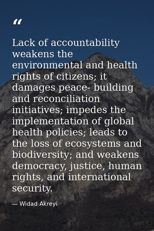 Lack of accountability weakens the environmental and health rights of citizens; it damages peace- building and reconcili — Widad Akreyi