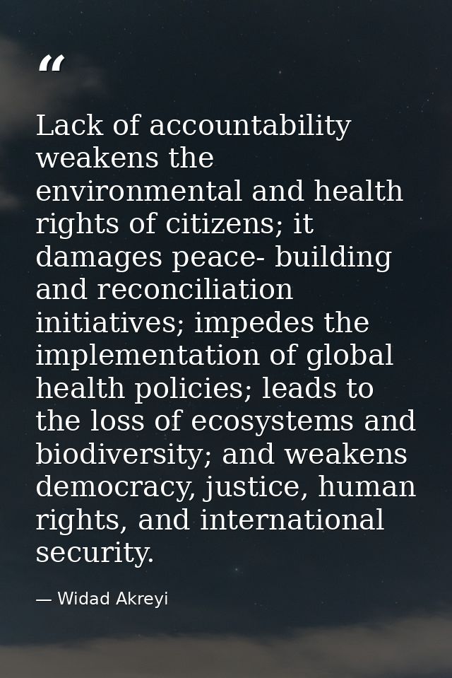 Lack of accountability weakens the environmental and health rights of citizens; it damages peace- building and reconcili — Widad Akreyi
