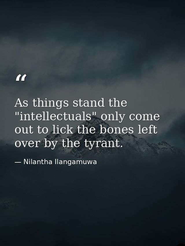 As things stand the "intellectuals" only come out to lick the bones left over by the tyrant. — Nilantha Ilangamuwa