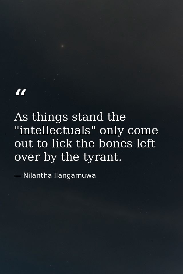 As things stand the "intellectuals" only come out to lick the bones left over by the tyrant. — Nilantha Ilangamuwa