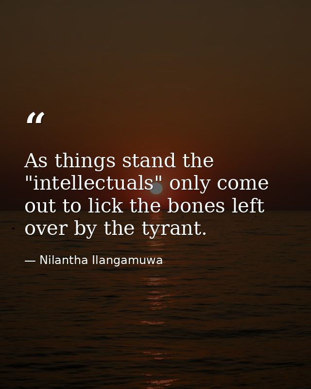 As things stand the "intellectuals" only come out to lick the bones left over by the tyrant. — Nilantha Ilangamuwa