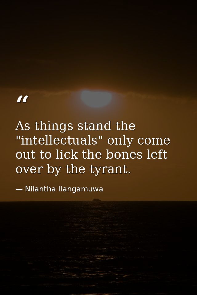 As things stand the "intellectuals" only come out to lick the bones left over by the tyrant. — Nilantha Ilangamuwa