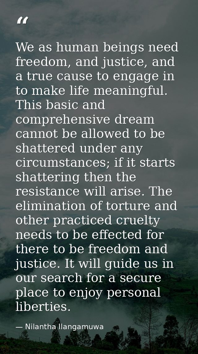 We as human beings need freedom, and justice, and a true cause to engage in to make life meaningful. This basic and comp — Nilantha Ilangamuwa