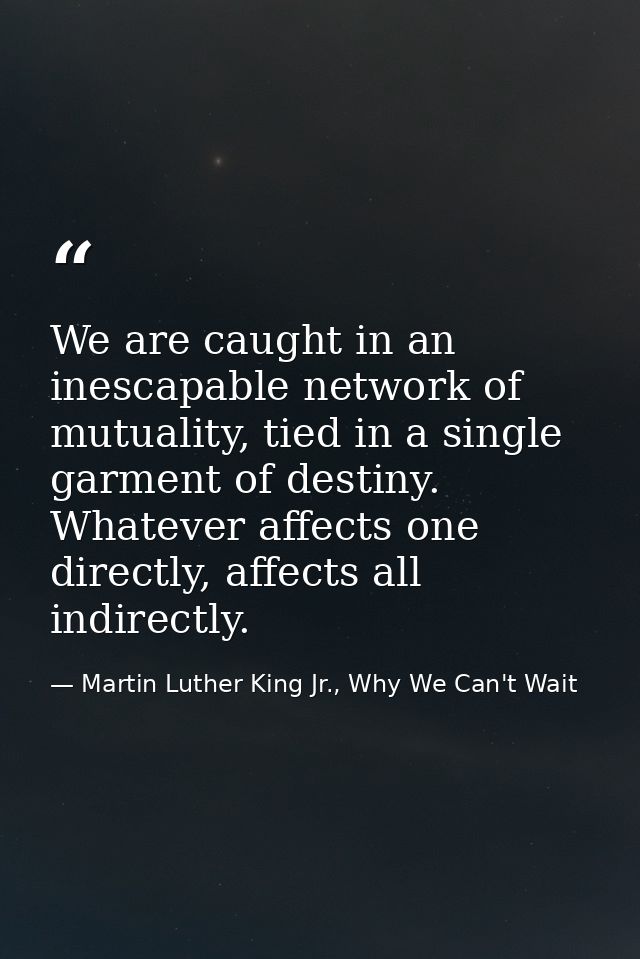 We are caught in an inescapable network of mutuality, tied in a single garment of destiny. Whatever affects one directly — Martin Luther King Jr., Why We Can't Wait