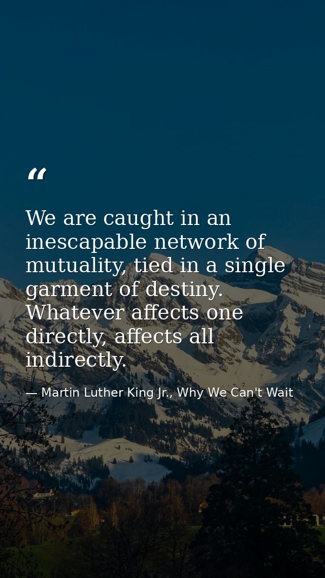 We are caught in an inescapable network of mutuality, tied in a single garment of destiny. Whatever affects one directly — Martin Luther King Jr., Why We Can't Wait
