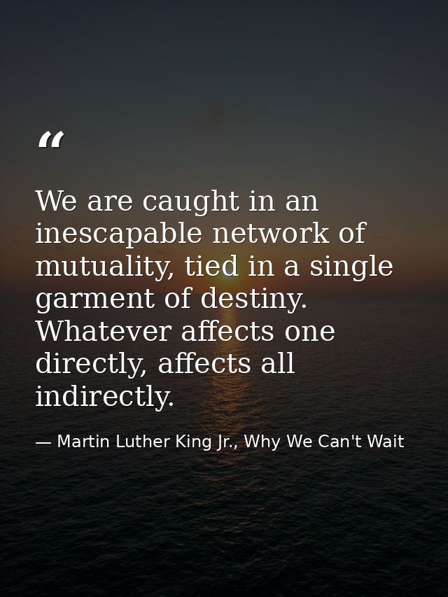 We are caught in an inescapable network of mutuality, tied in a single garment of destiny. Whatever affects one directly — Martin Luther King Jr., Why We Can't Wait