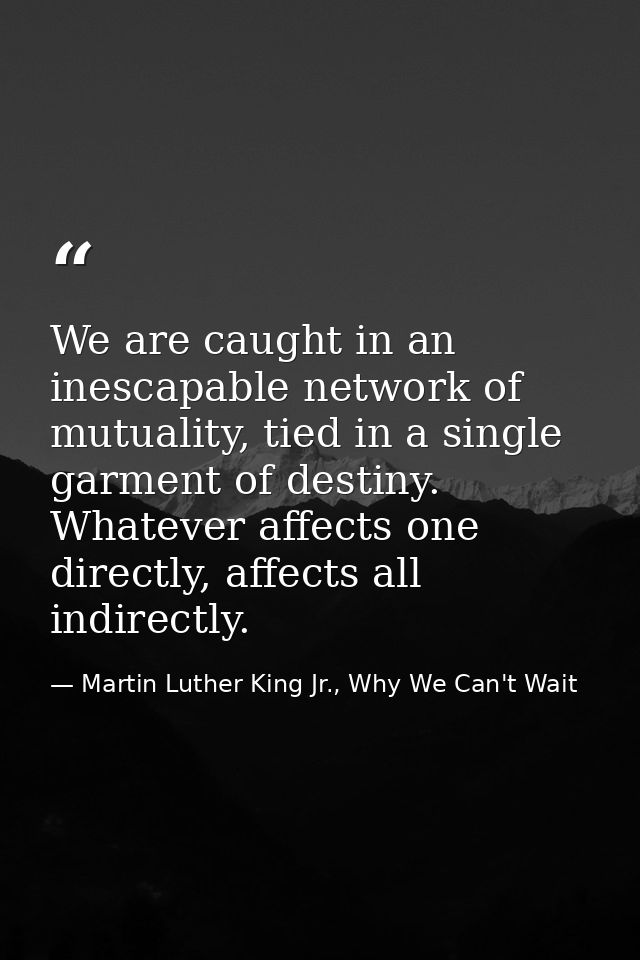 We are caught in an inescapable network of mutuality, tied in a single garment of destiny. Whatever affects one directly — Martin Luther King Jr., Why We Can't Wait