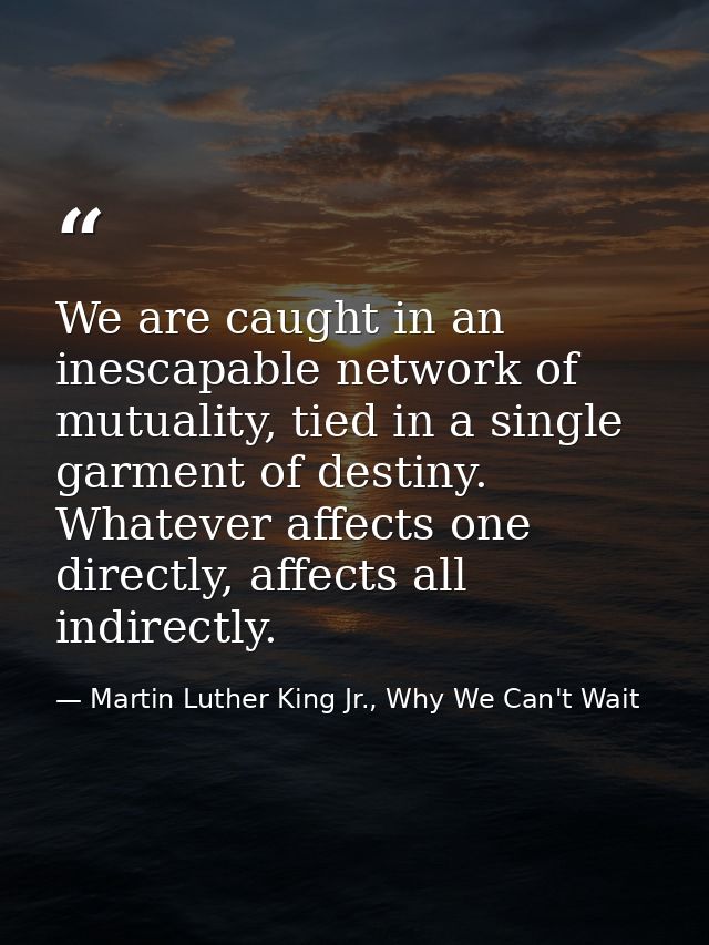 We are caught in an inescapable network of mutuality, tied in a single garment of destiny. Whatever affects one directly — Martin Luther King Jr., Why We Can't Wait