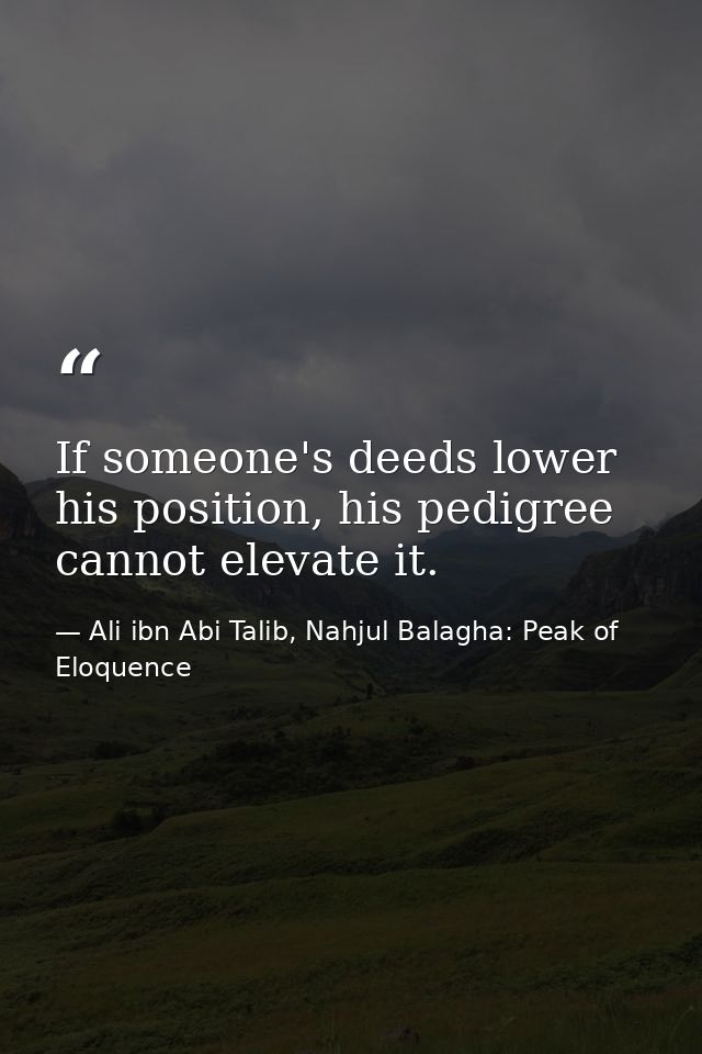 If someone's deeds lower his position, his pedigree cannot elevate it. — Ali ibn Abi Talib, Nahjul Balagha: Peak of Eloquence