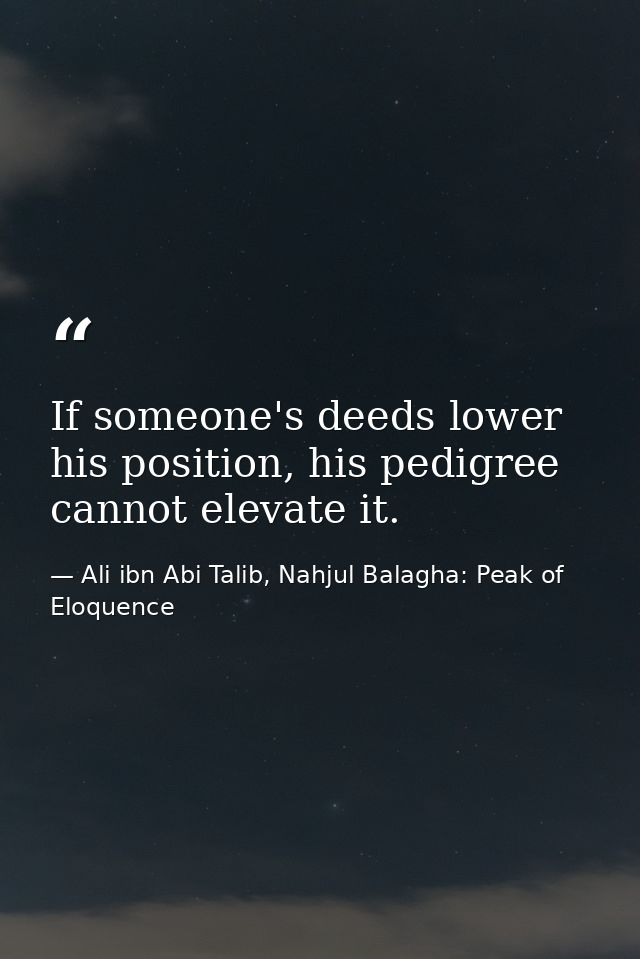 If someone's deeds lower his position, his pedigree cannot elevate it. — Ali ibn Abi Talib, Nahjul Balagha: Peak of Eloquence