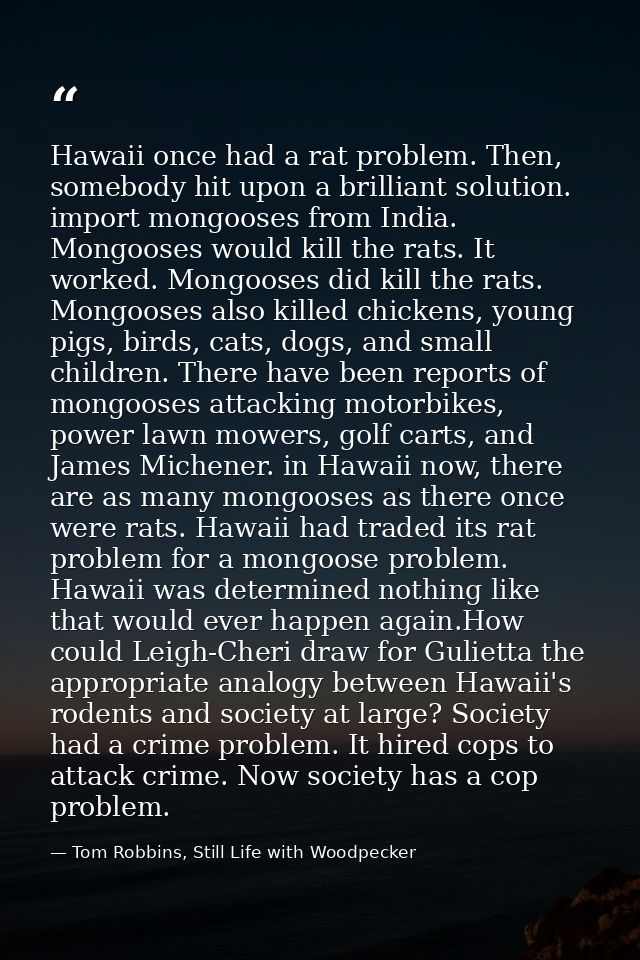 Hawaii once had a rat problem. Then, somebody hit upon a brilliant solution. import mongooses from India. Mongooses woul — Tom Robbins, Still Life with Woodpecker