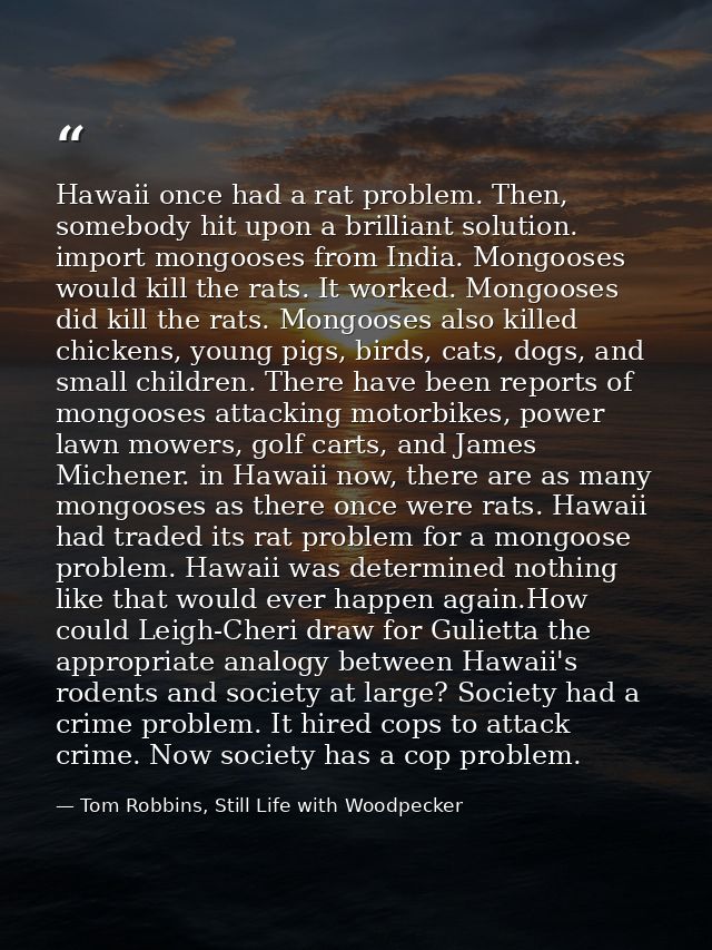 Hawaii once had a rat problem. Then, somebody hit upon a brilliant solution. import mongooses from India. Mongooses woul — Tom Robbins, Still Life with Woodpecker