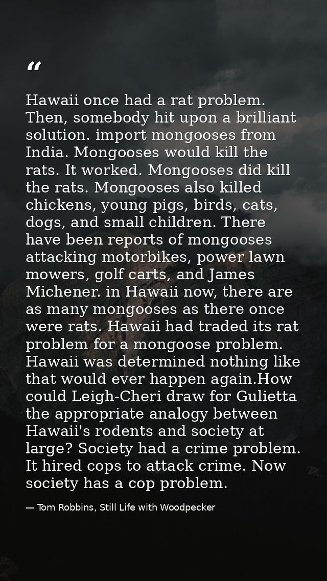 Hawaii once had a rat problem. Then, somebody hit upon a brilliant solution. import mongooses from India. Mongooses woul — Tom Robbins, Still Life with Woodpecker