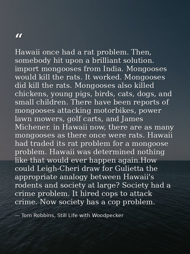 Hawaii once had a rat problem. Then, somebody hit upon a brilliant solution. import mongooses from India. Mongooses woul — Tom Robbins, Still Life with Woodpecker